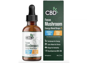 CBDFX Focus Mushroom + CBD Drops: CBG Energy Blend